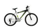 NEUZER ALU MTB ECO FFI 17