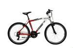 NEUZER ALU MTB ECO FFI 21