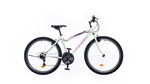 Ranger Catch ECO női 26''