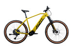 TRAILHUNTER 16 E-MTB