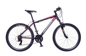 Mistral 50 férfi 19